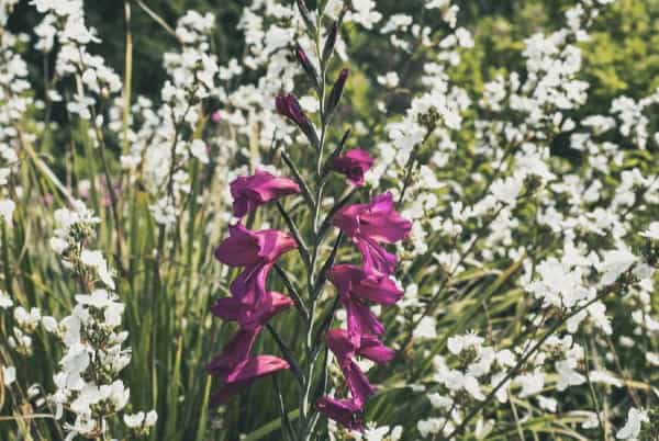 joint venture webinars