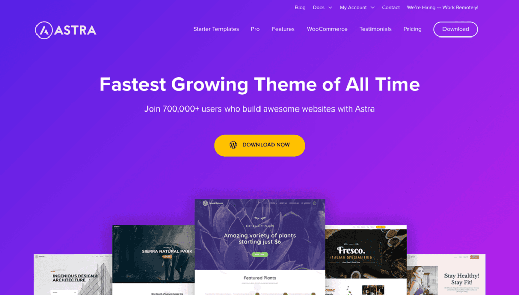 Astra Theme Website Screenshot