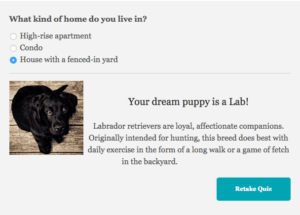 Example Screenshot of a Personality Quiz Results Page