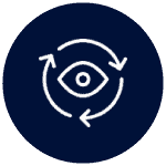 AccessAlly Visual System Image