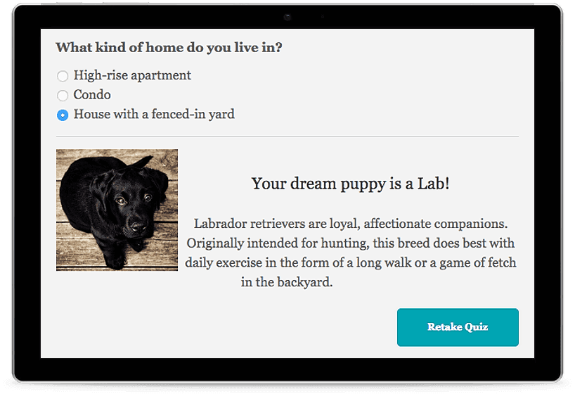 create and quiz and create quiz results screenshot