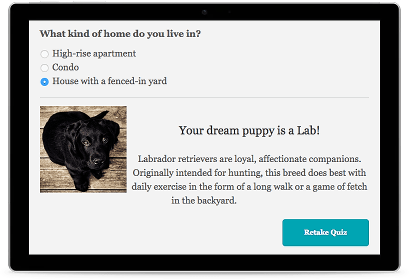 Tablet with personality quiz results