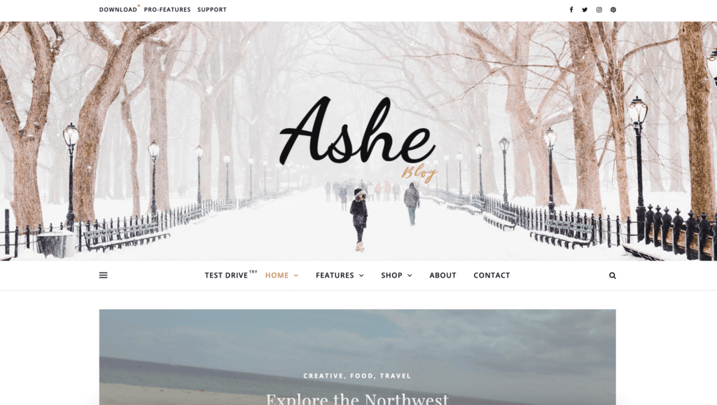 Ashe demo site. Minimalistic with feminine style. Background is a snowy walk in the park. Large header font is cursive.