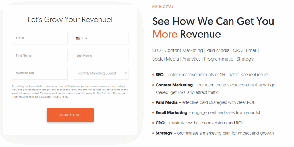 Neil Patel Consultation Call Lead Magnet Idea Example